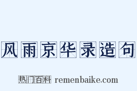 风雨京华录造句是什么意思的图片